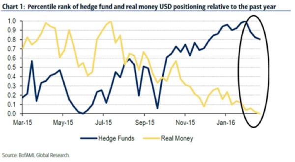 Hedge fund vs money